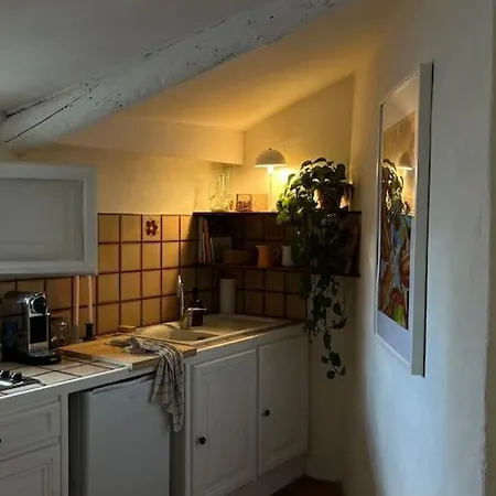 Apartment En Plein Centre Historique D'uzes *